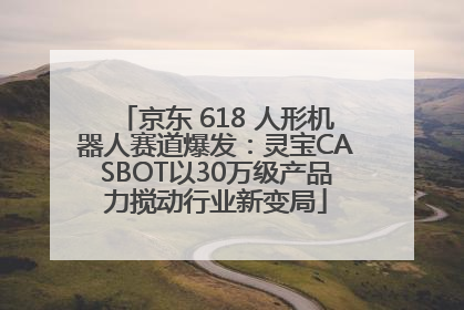 京东 618 人形机器人赛道爆发：灵宝CASBOT以30万级产品力搅动行业新变局