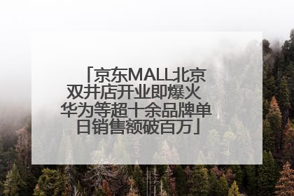 京东MALL北京双井店开业即爆火 华为等超十余品牌单日销售额破百万