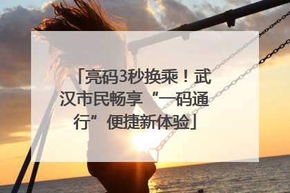亮码3秒换乘！武汉市民畅享“一码通行”便捷新体验