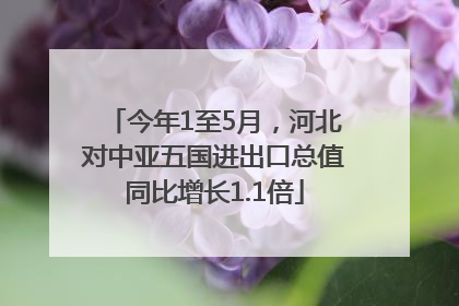 今年1至5月，河北对中亚五国进出口总值同比增长1.1倍