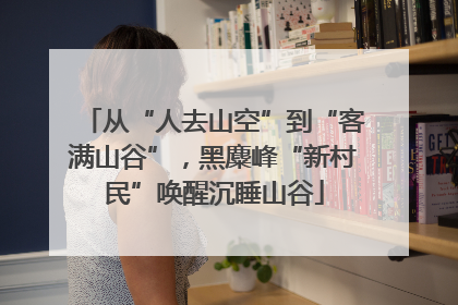 从“人去山空”到“客满山谷”，黑麋峰“新村民”唤醒沉睡山谷