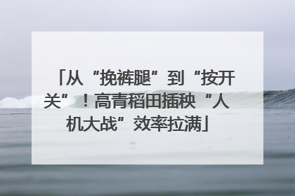 从“挽裤腿”到“按开关”！高青稻田插秧“人机大战”效率拉满