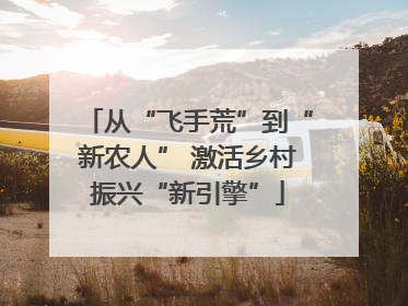 从“飞手荒”到“新农人” 激活乡村振兴“新引擎”