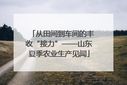 从田间到车间的丰收“接力”——山东夏季农业生产见闻