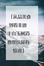 从品美食到看非遗 丰台玉树消费帮扶展有惊喜
