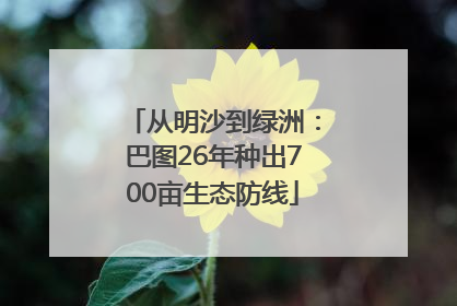 从明沙到绿洲：巴图26年种出700亩生态防线