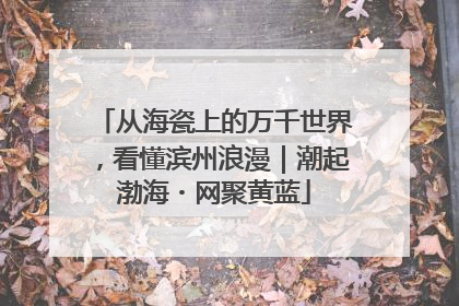 从海瓷上的万千世界，看懂滨州浪漫｜潮起渤海・网聚黄蓝