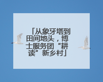 从象牙塔到田间地头，博士服务团“耕读”新乡村