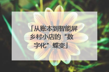 从账本到智能屏 乡村小店的“数字化”蝶变