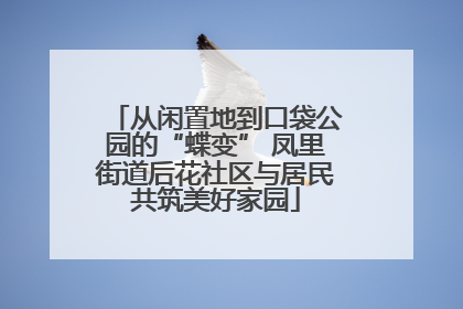 从闲置地到口袋公园的“蝶变” 凤里街道后花社区与居民共筑美好家园