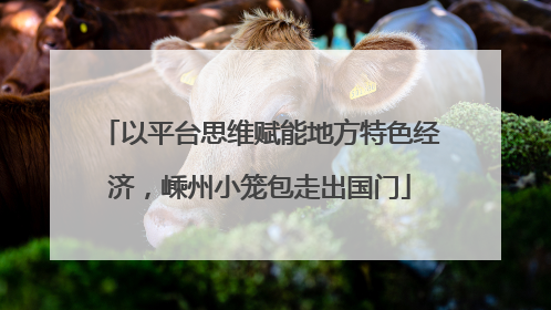 以平台思维赋能地方特色经济，嵊州小笼包走出国门