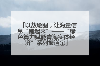 以数绘图，让海量信息“跑起来”——“绿色算力赋能青海实体经济”系列报道①