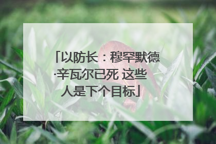 以防长：穆罕默德·辛瓦尔已死 这些人是下个目标