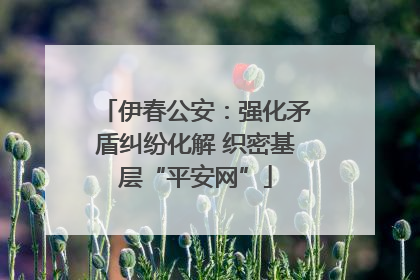 伊春公安：强化矛盾纠纷化解 织密基层“平安网”