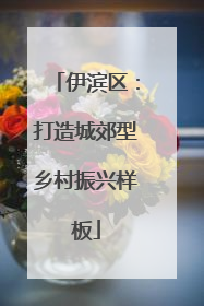 伊滨区：打造城郊型乡村振兴样板
