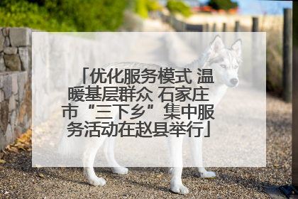 优化服务模式 温暖基层群众 石家庄市“三下乡”集中服务活动在赵县举行
