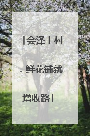 会泽上村：鲜花铺就增收路