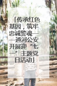 传承红色基因，筑牢忠诚警魂——通河公安开展迎“七一”主题党日活动