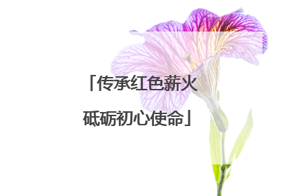 传承红色薪火 砥砺初心使命