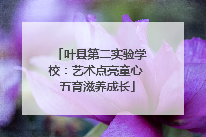 叶县第二实验学校：艺术点亮童心 五育滋养成长