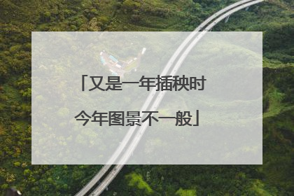 又是一年插秧时 今年图景不一般