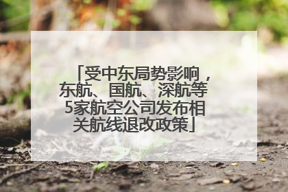 受中东局势影响，东航、国航、深航等5家航空公司发布相关航线退改政策