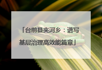 台前县夹河乡：谱写基层治理高效能篇章