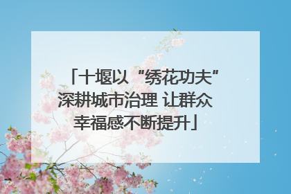 十堰以“绣花功夫”深耕城市治理 让群众幸福感不断提升