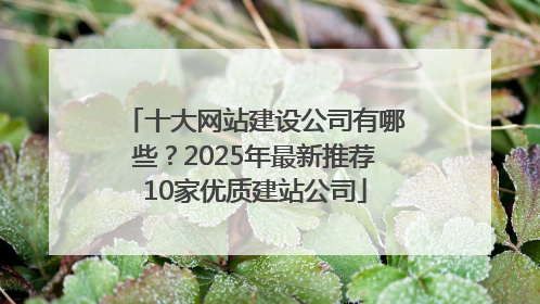 十大网站建设公司有哪些？2025年最新推荐10家优质建站公司