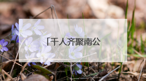 千人齐聚南公园，这场活动正式启动！