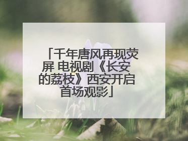 千年唐风再现荧屏 电视剧《长安的荔枝》西安开启首场观影