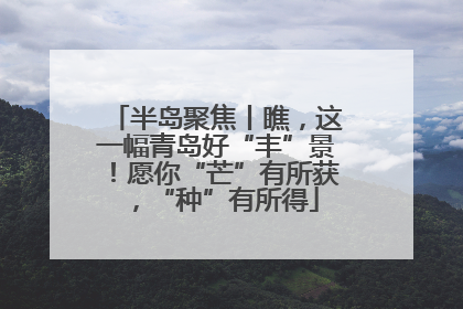 半岛聚焦丨瞧，这一幅青岛好“丰”景！愿你“芒”有所获，“种”有所得