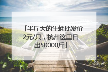 半斤大的生蚝批发价2元/只，杭州这里日出50000斤