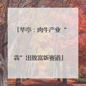 华亭：肉牛产业“犇”出致富新赛道