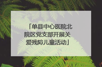单县中心医院北院区党支部开展关爱残障儿童活动