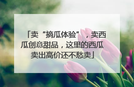 卖“摘瓜体验”，卖西瓜创意甜品，这里的西瓜卖出高价还不愁卖