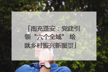 南充蓬安：党建引领“六个全域” 绘就乡村振兴新图景