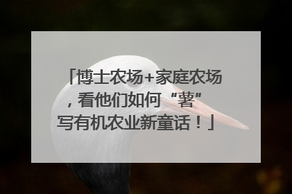 博士农场+家庭农场，看他们如何“薯” 写有机农业新童话！