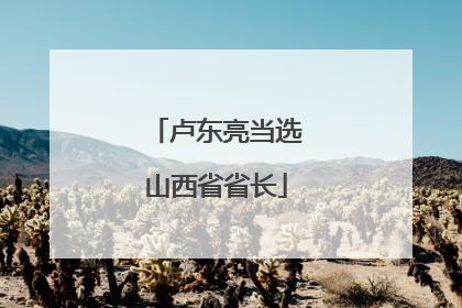 卢东亮当选山西省省长