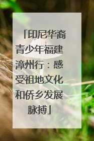 印尼华裔青少年福建漳州行：感受祖地文化和侨乡发展脉搏