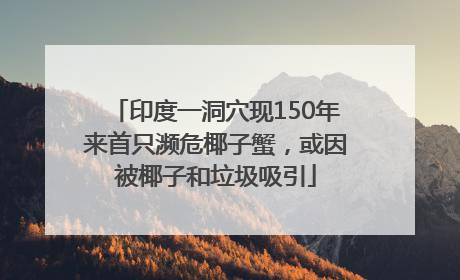 印度一洞穴现150年来首只濒危椰子蟹，或因被椰子和垃圾吸引