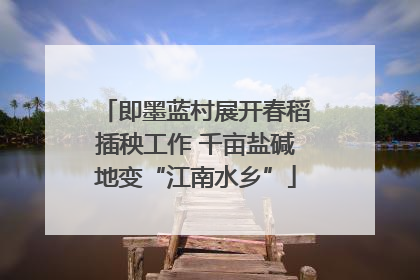 即墨蓝村展开春稻插秧工作 千亩盐碱地变“江南水乡”