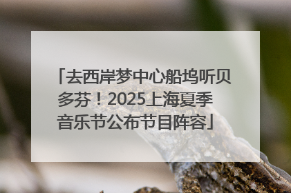 去西岸梦中心船坞听贝多芬！2025上海夏季音乐节公布节目阵容