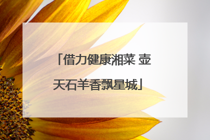 借力健康湘菜 壶天石羊香飘星城