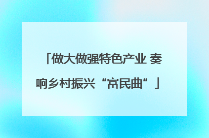 做大做强特色产业 奏响乡村振兴“富民曲”