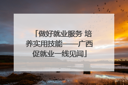 做好就业服务 培养实用技能——广西促就业一线见闻