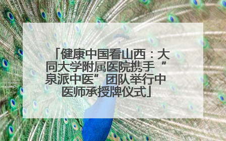 健康中国看山西：大同大学附属医院携手“泉派中医”团队举行中医师承授牌仪式