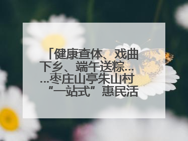 健康查体、戏曲下乡、端午送粽……枣庄山亭朱山村“一站式”惠民活动暖民心