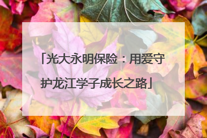 光大永明保险：用爱守护龙江学子成长之路