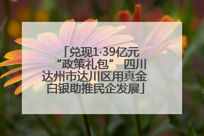 兑现1·39亿元“政策礼包” 四川达州市达川区用真金白银助推民企发展